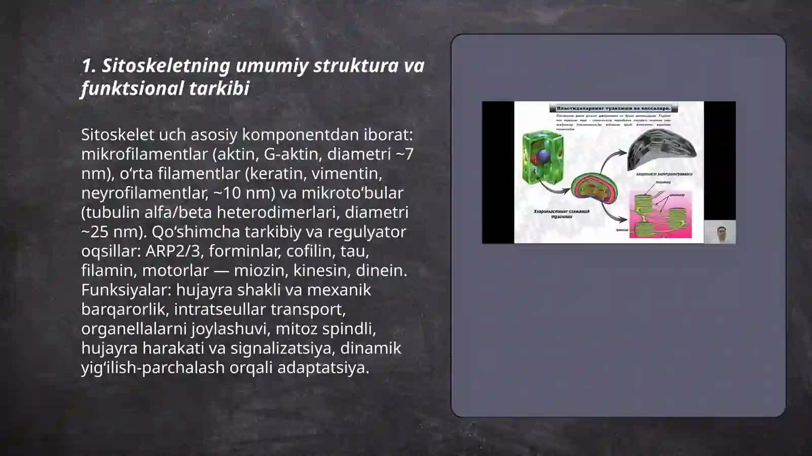 Hujayra sitoskeletning strukturaviy va funksional tashkil etilishi 3