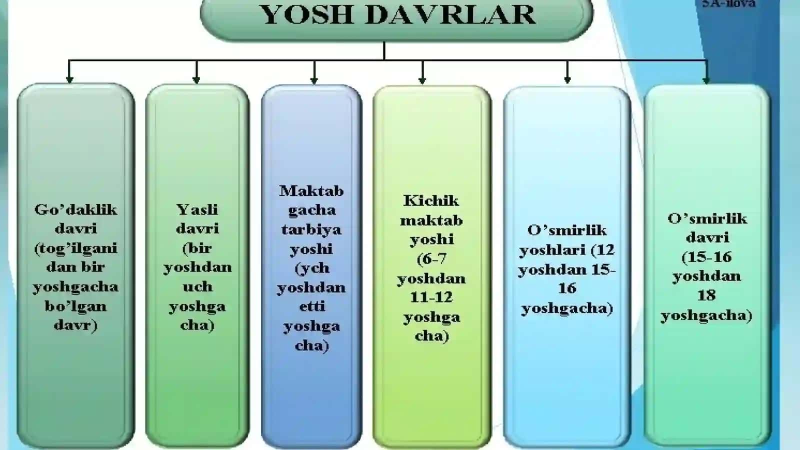 Turli yosh davrlarda o’zlashtirish xususiyatlari 3