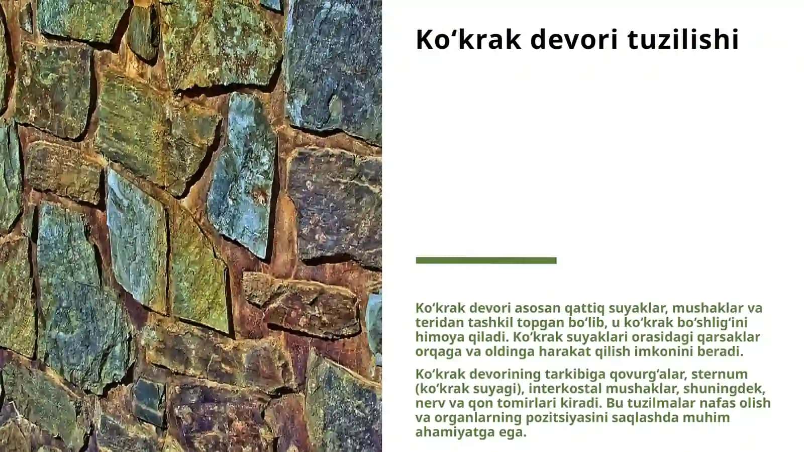 KO‘KRAK DEVORI TUGʻMA VA ORTTIRILGAN NUQSONLARIDA OPERATSIYALAR. DIAFRAGMANING TUGʻMA VA ORTTIRILGAN PATOLOGIYALARIDA OPERATSIYALAR 3