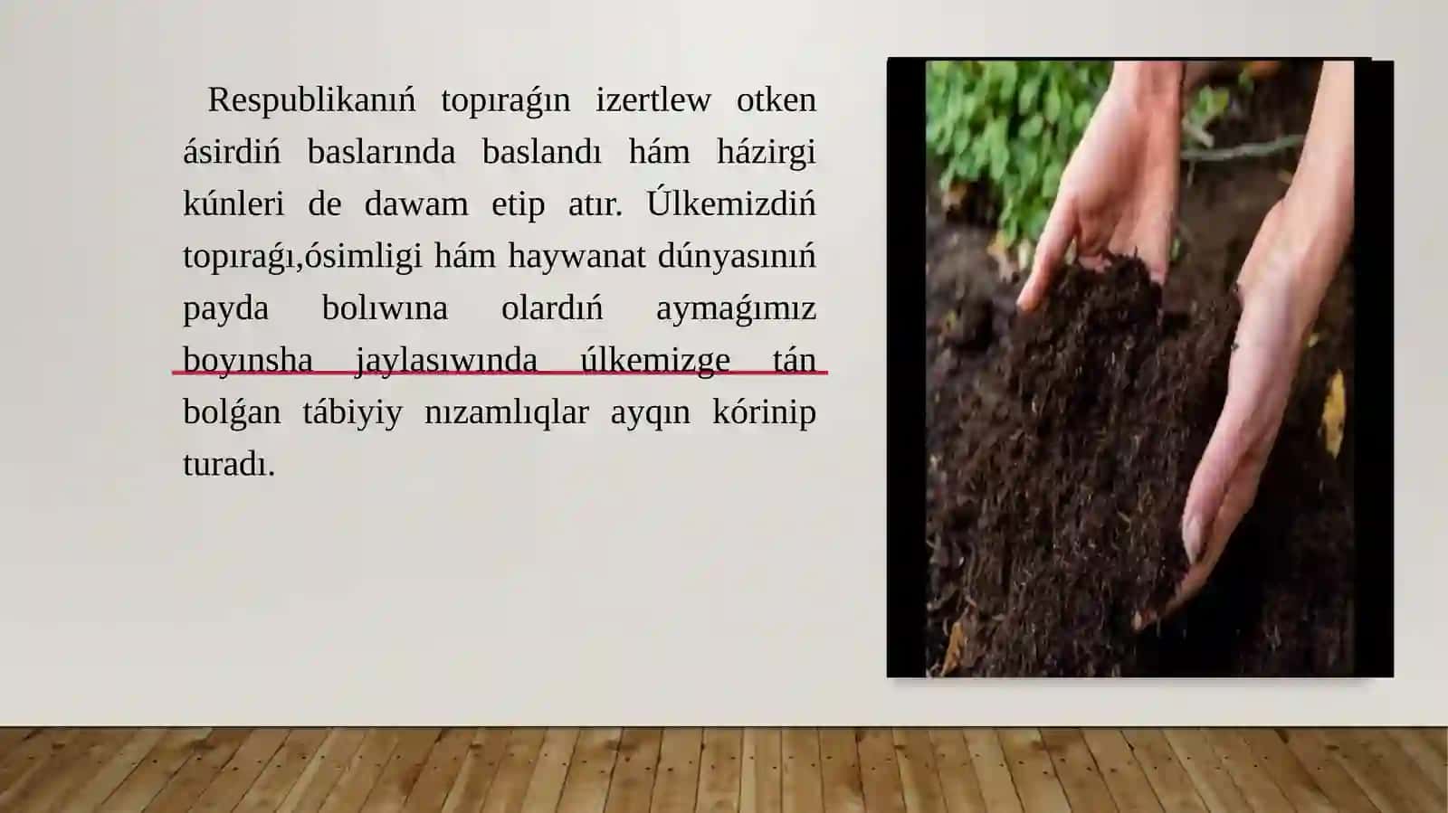 Qaraqalpaqstannin topiraqlari ha’m topiraq resurslari 3