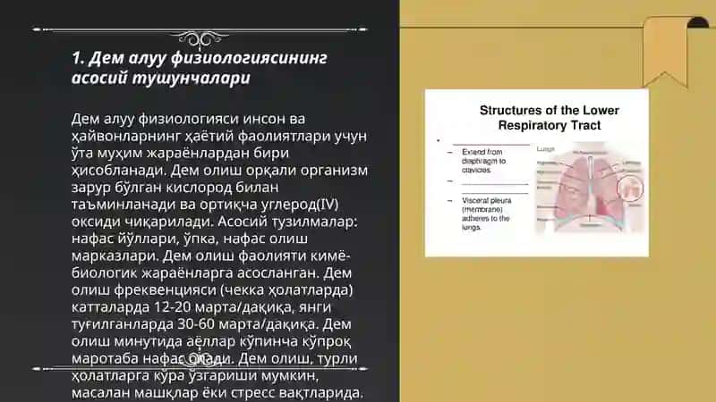 Дем алыу жолларының физиологиясы 3