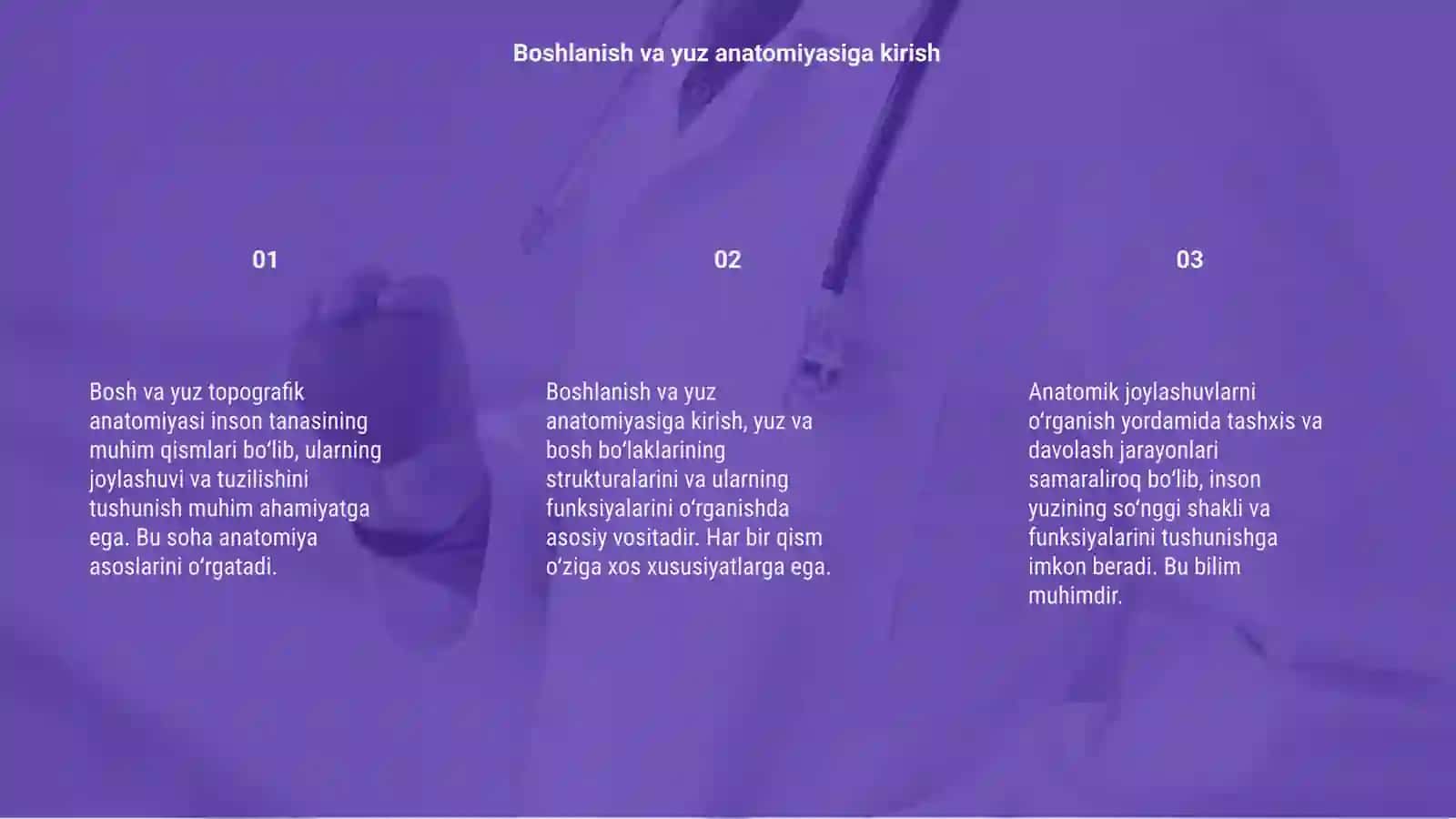 Bosh va yuz topografik anatomiyasi 3