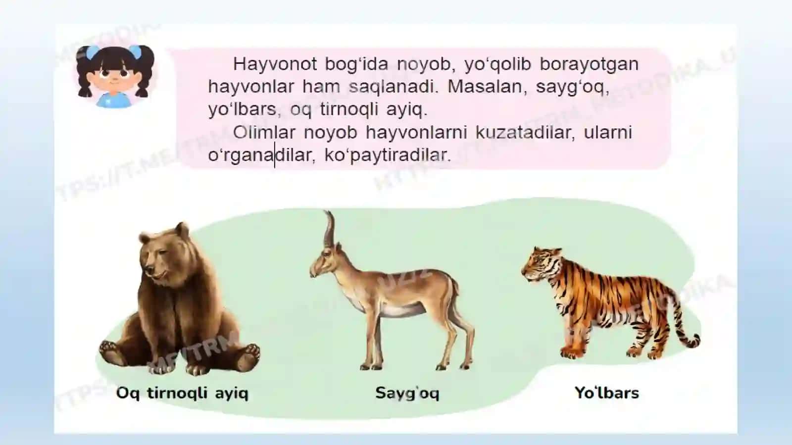 Hayvonot bog‘i nima? 3