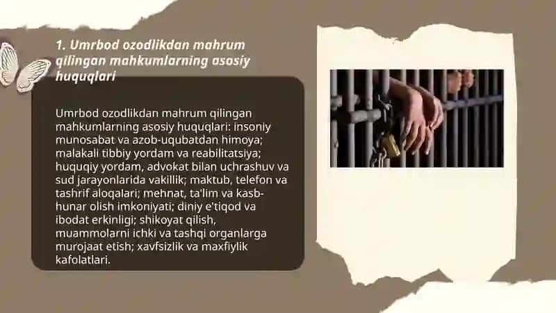 Umrbod ozodlikdan mahrum qilingan mahkumlarning huquqiy holati 3