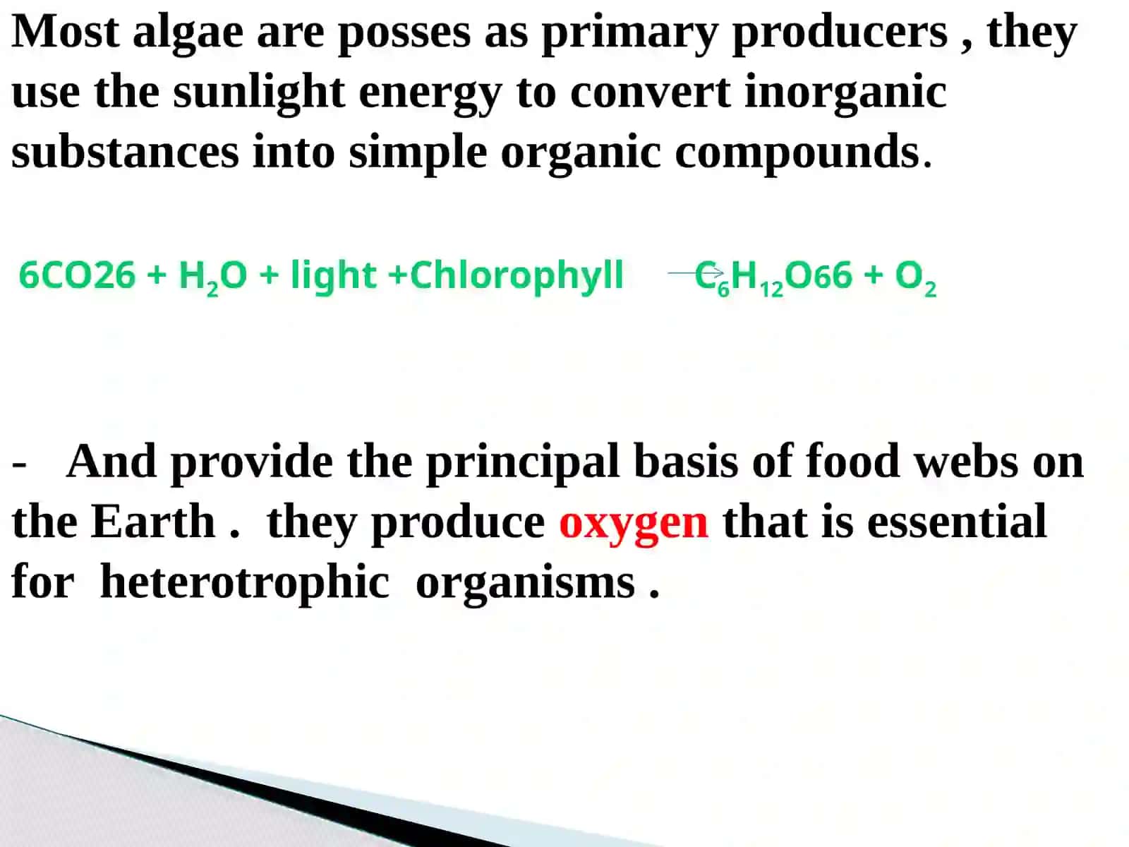 Algae 3