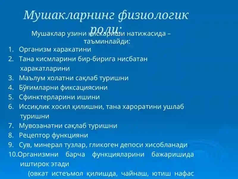 Мушаклар, асаб толалари ва синапснинг физиологияси 3