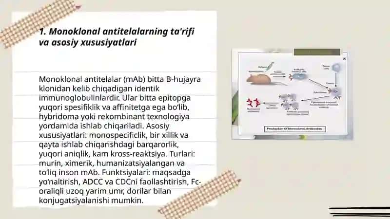 Monoklonal antitelalar va tibbiyot amaliyotlarida qõllanilishi 3