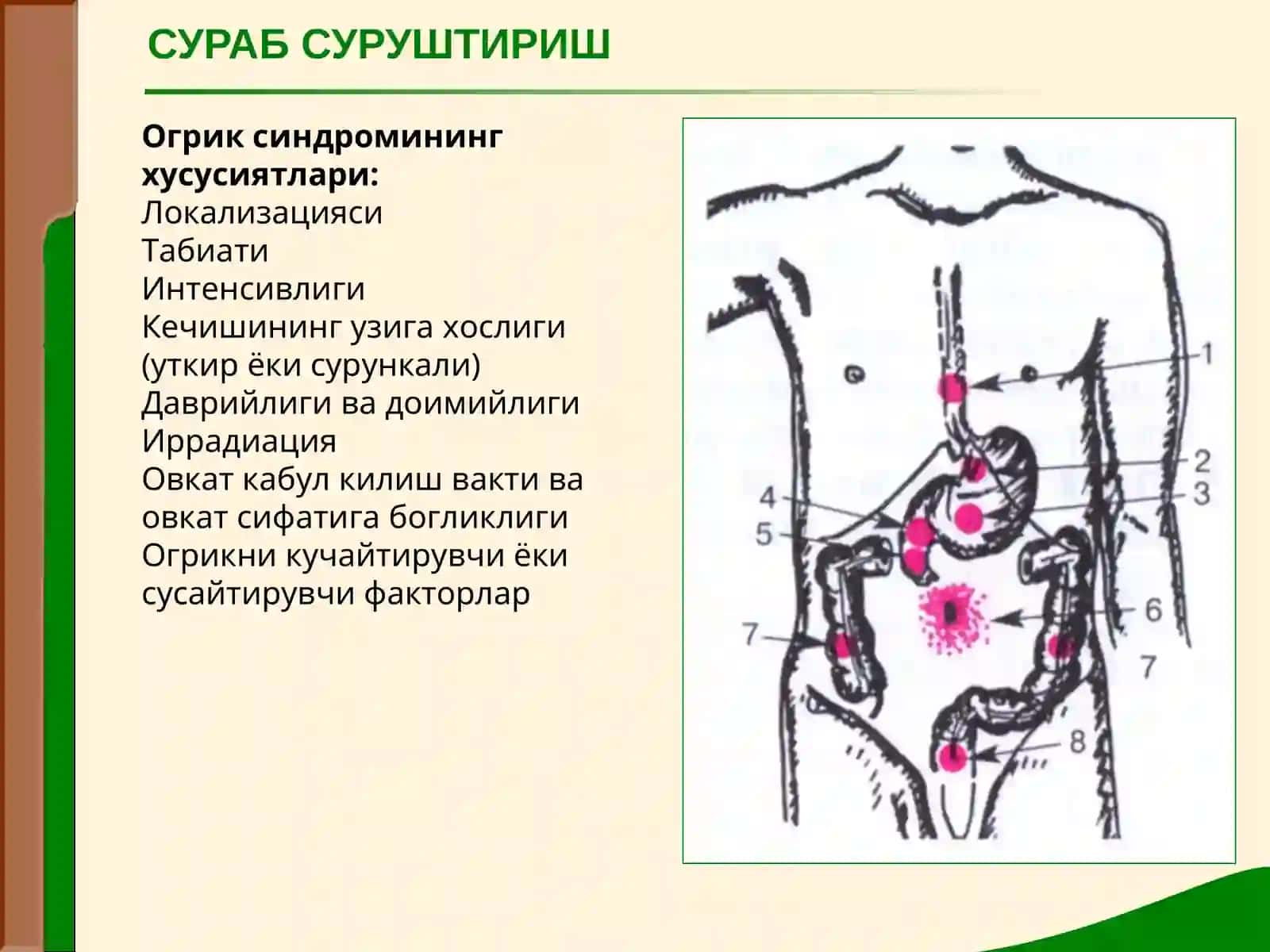 Овкат хазм килиш системаси 3