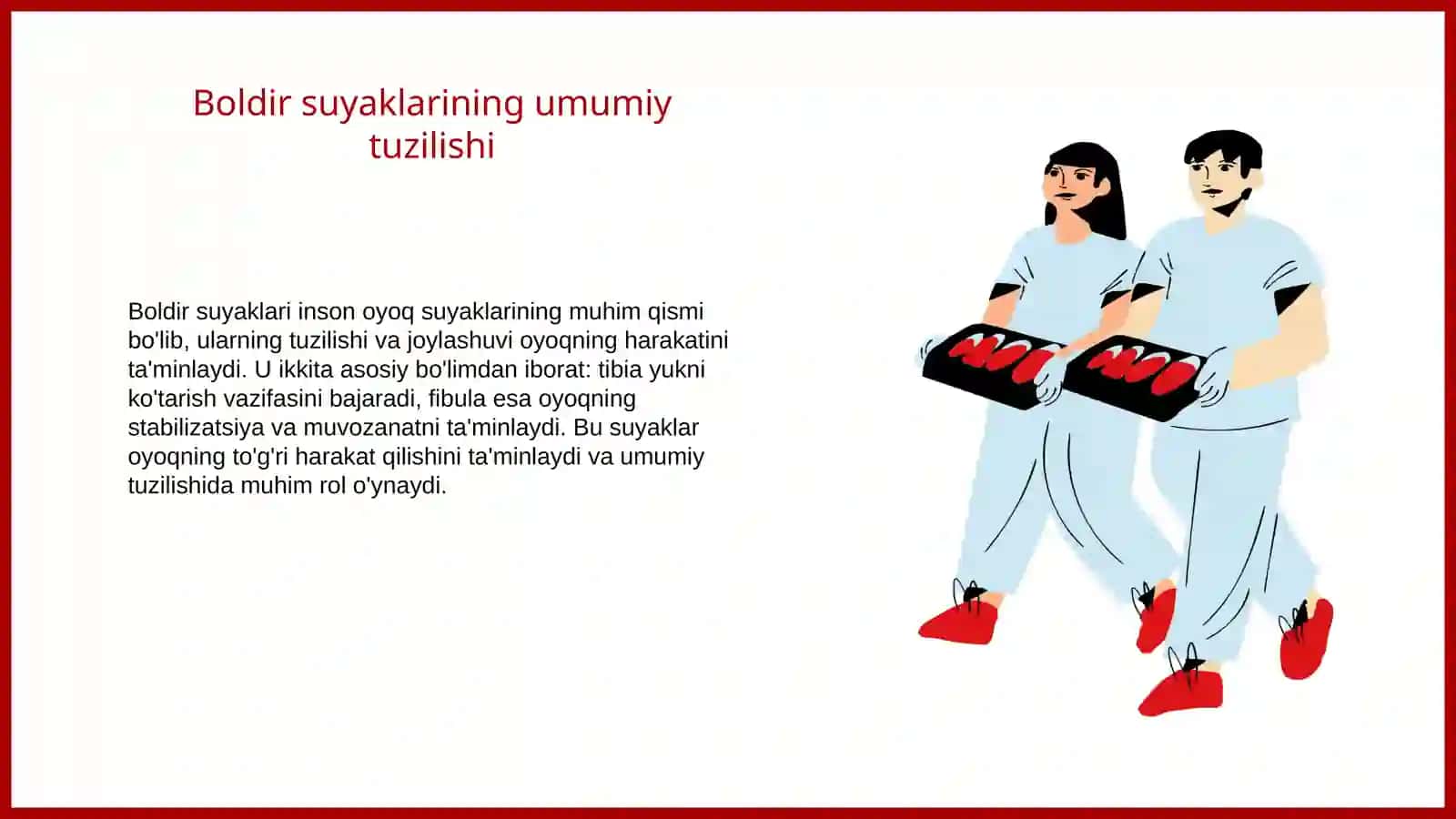 Oyoqning erkin suyaklari: boldir, kaft usti, kaft va barmoq suyaklari 3