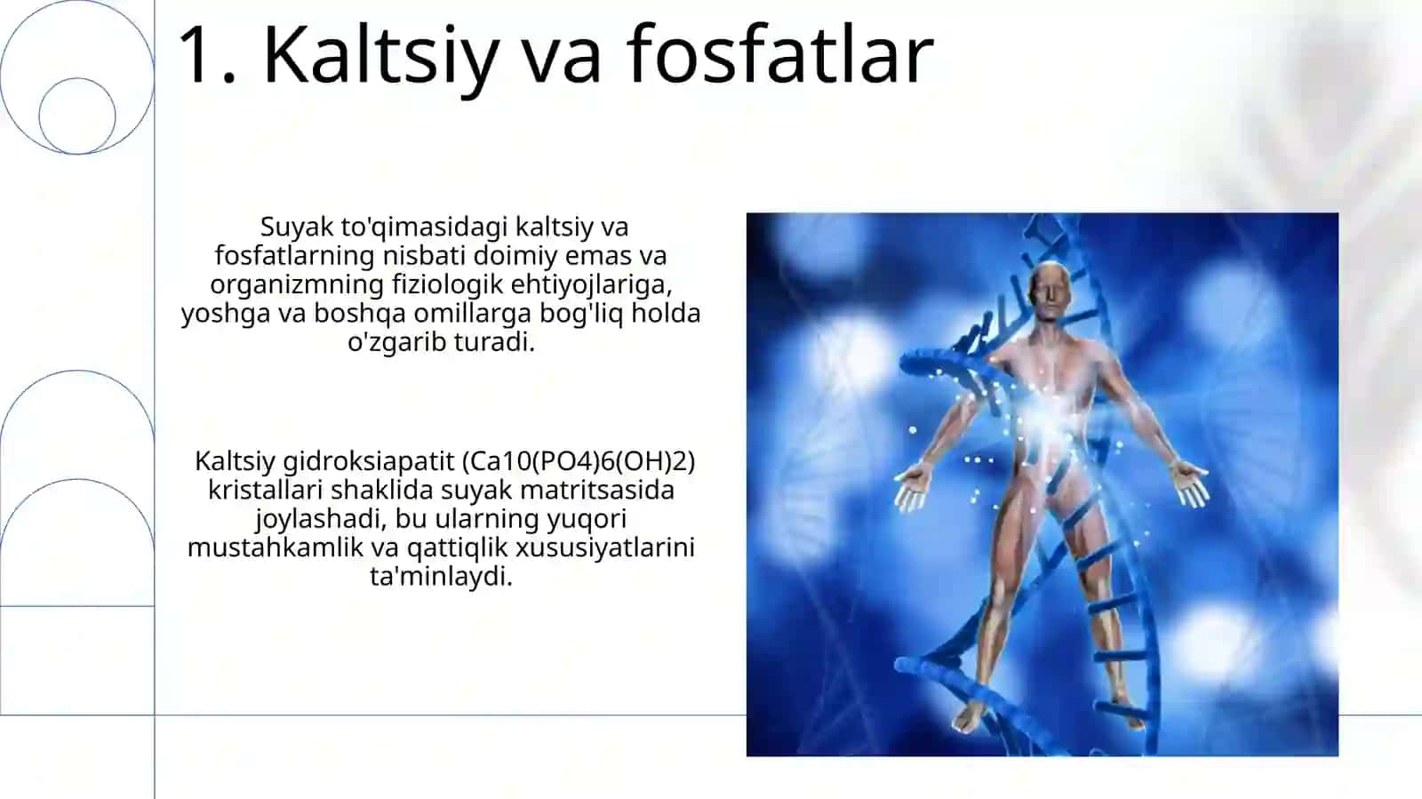 Suyaklarning tuzilishi rivojlanishi va kimyoviy tarkibi 3