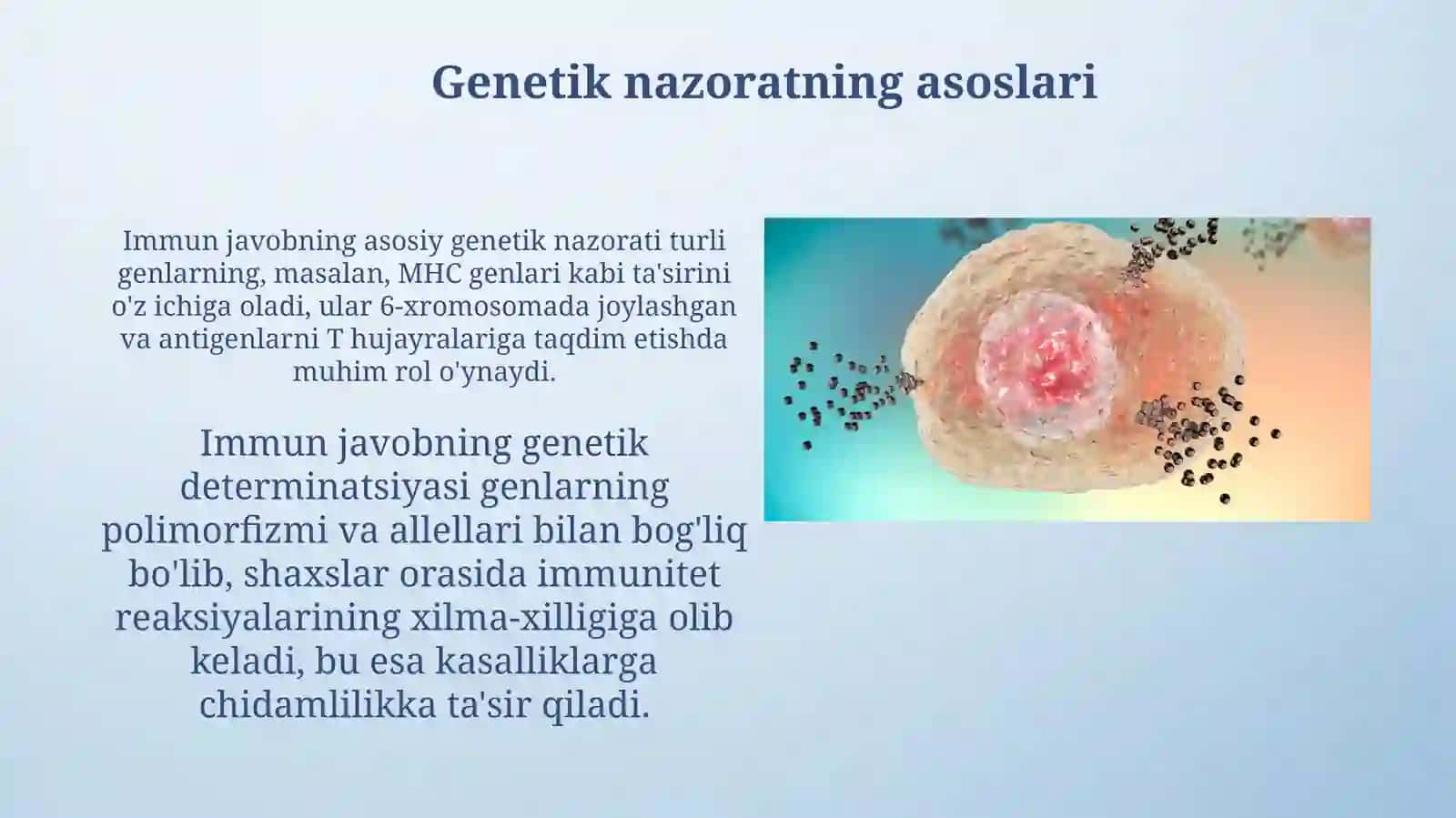 Immunologik reaksiyalarning genetik nazoratiImunologiktolerantlik 3
