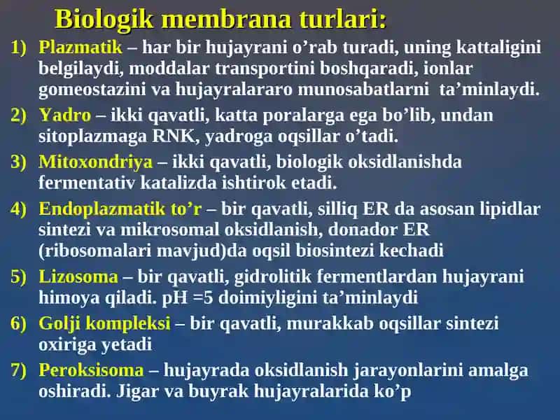 Hujayra Membranalarining Tuzilishi va Vazifalari 3