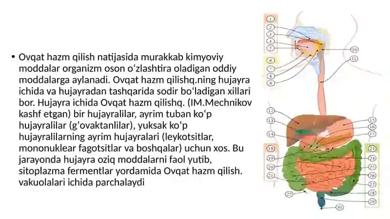 Hazmlanish jarayoning boshqariluvi 3