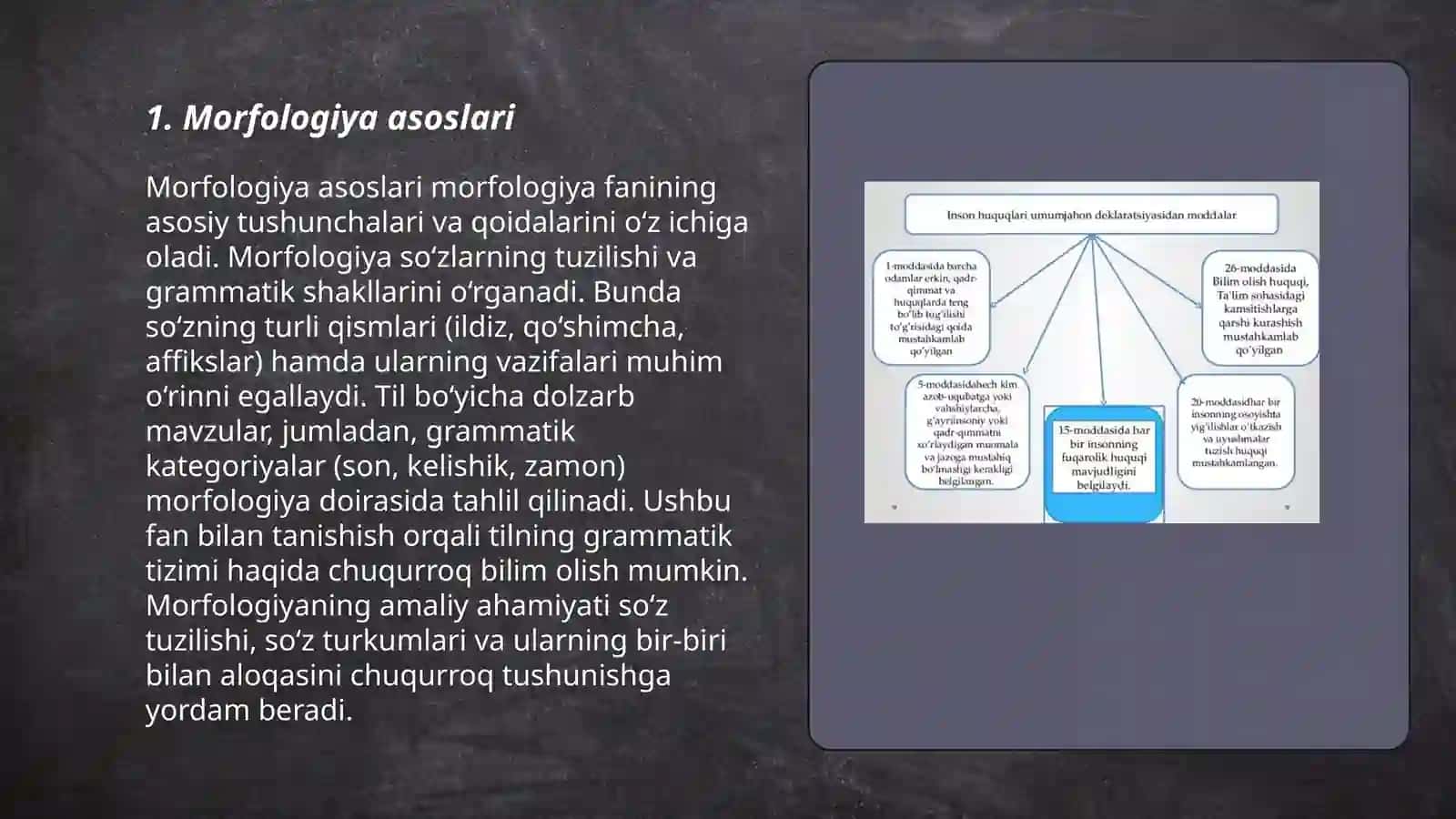 Garammatik sath. Til sathlarining alohida tizim sifatida o'rganilishi 3