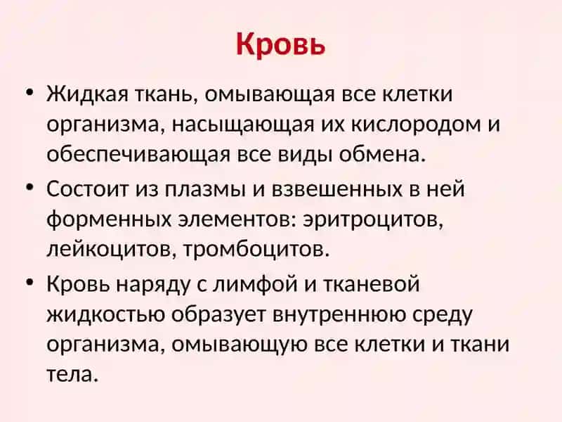 Кровь и система кроветворения у детей 3