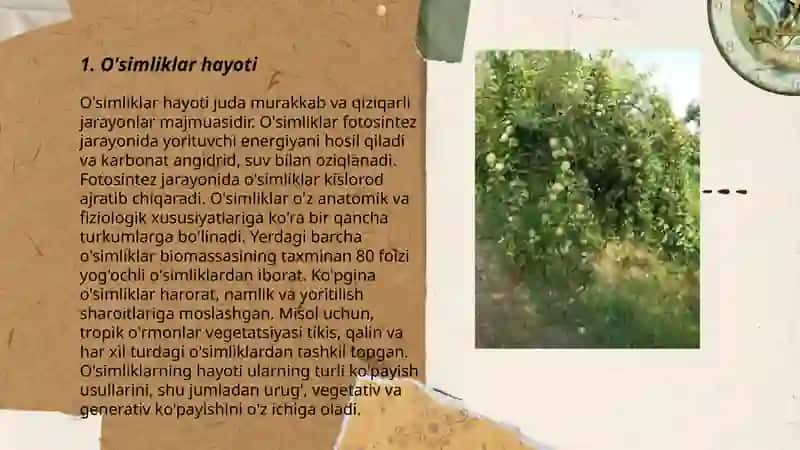 3-klass "Tábiyattanıw" sabaqlıǵın analiz qılıw 3