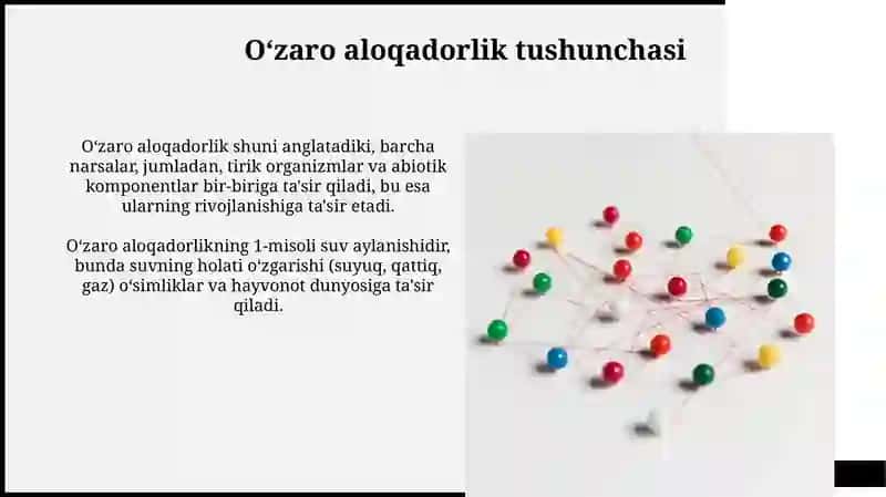 Oʻzaro aloqadorlik tushunchasi 3