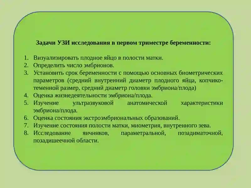Ультразвуковое исследование в первом триместре беременности 3