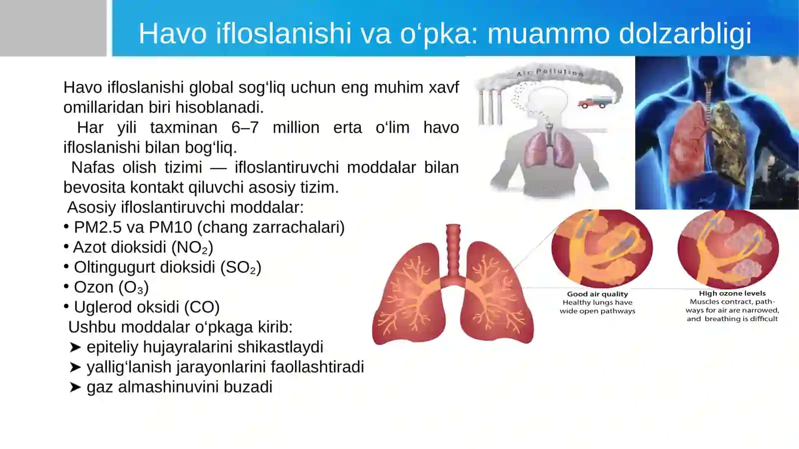 Havo ifloslanishining o'pka patologiyasidagi ahamiyati 3