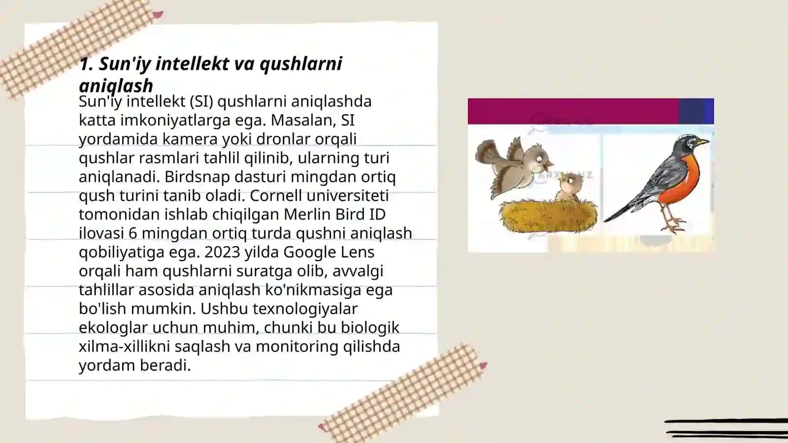 Qushlar zararlagan obyektlarni aniqlash 3