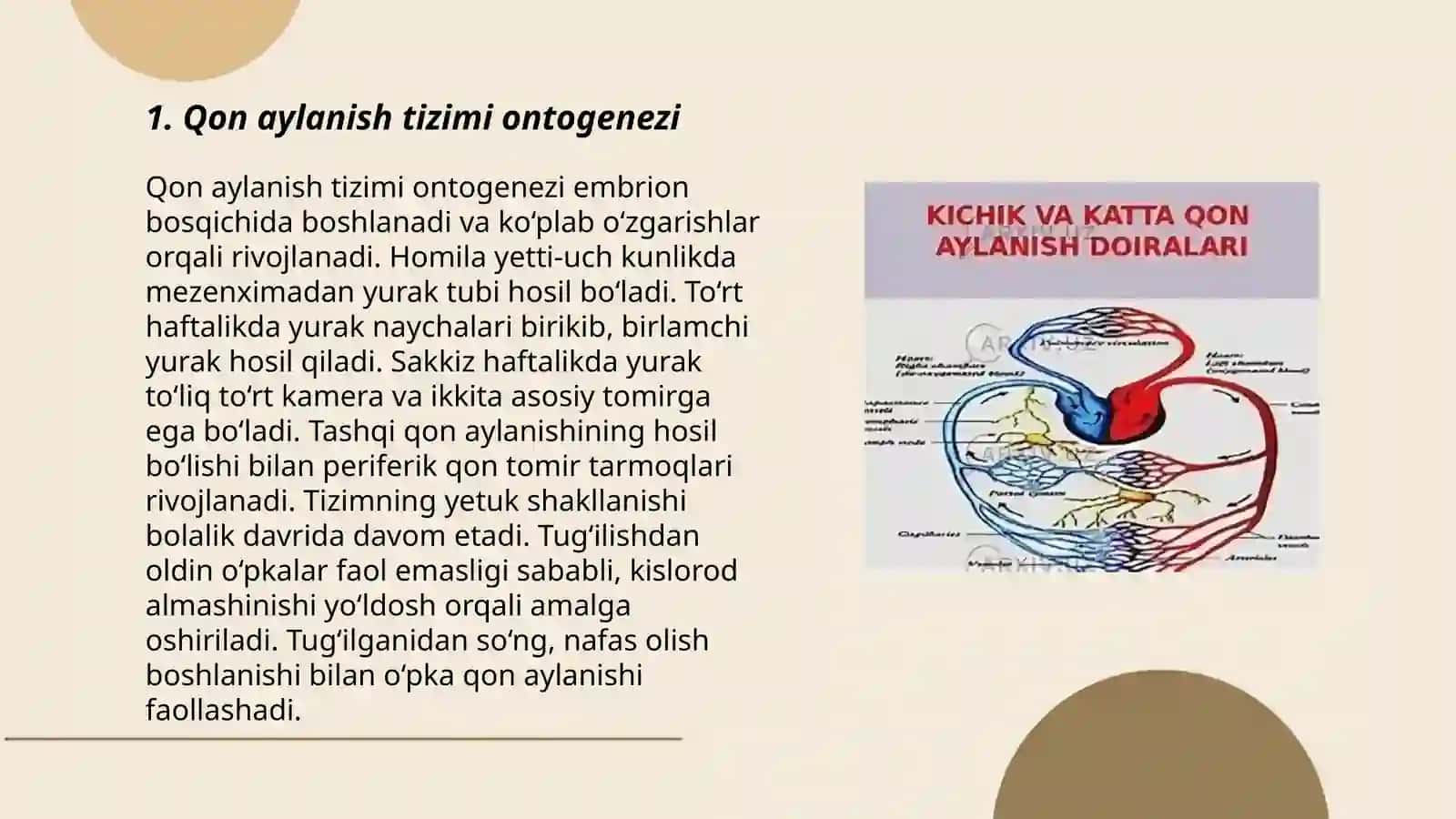 Organlar sistemasi onto-filogenezi: qon aylanish, nafas olish, endokrin, ayirish sistemasi 3