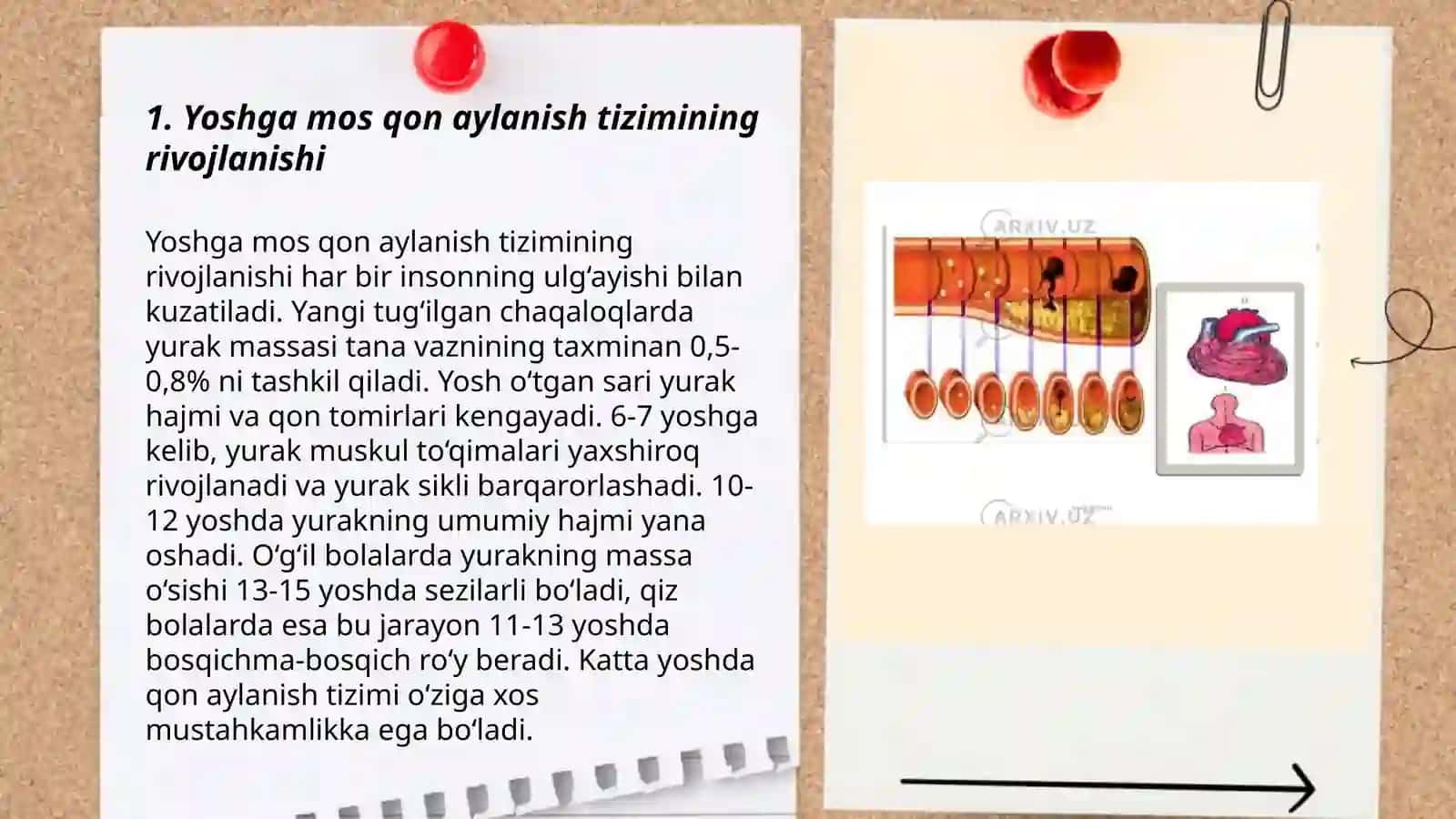 Qon aylanish tizimining yosh xususiyati va gigiyenasi 3