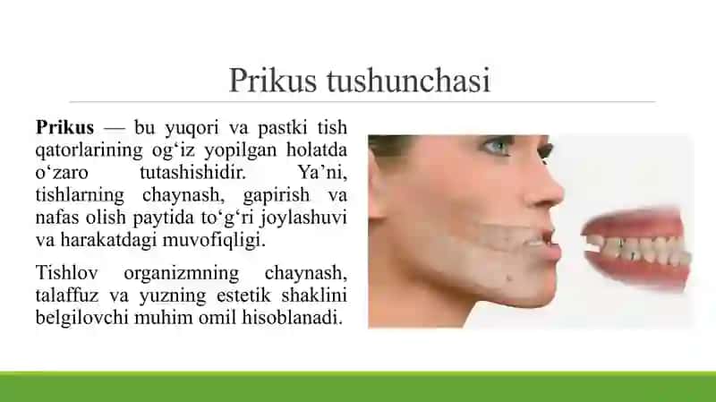 PRIKUS (TISHLOV). TISHLOV TURLARI. FIZIOLOGIK VA PATOLOGIK TISHLOV BELGILARI. TALABALARDAGI TISHLOV TURLARINI ANIQLASH. PASTKI JAG‘ HARAKATINI AMALGA OSHIRUVCHI APPARATLAR (OKKLYUDATOR, ARTIKULYATOR). UCH NUQTALI KONTAKT HAQIDA TUSHUNCHA. YUZ YOYI. 3