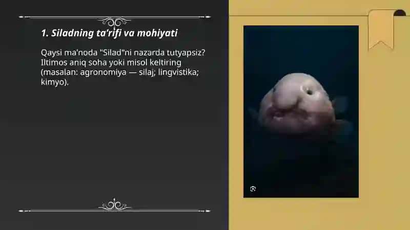 Silad 3
