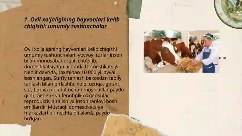 Ovil xójalikning hayvonlari kelib chiqshi va rivojlanish tarixi 3