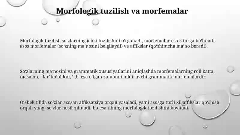 Bargning morfologik tuzilishi va uning asosiy vazifasi 3