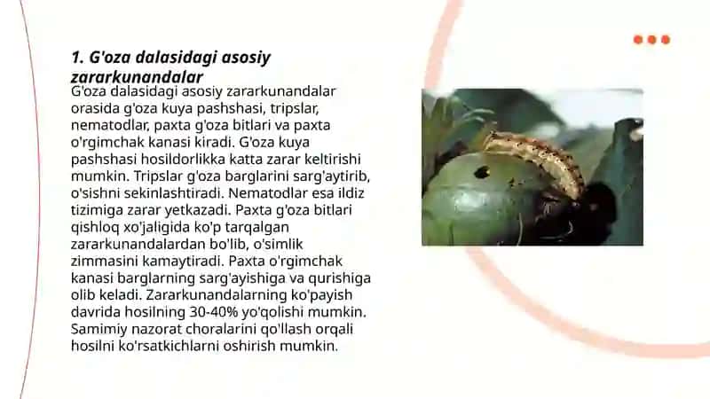 G'oza dalasidagi zararkunanda,kasallik begona òtlar va foydali hashorotlarni hisobga olish bòyicha masalalar 3