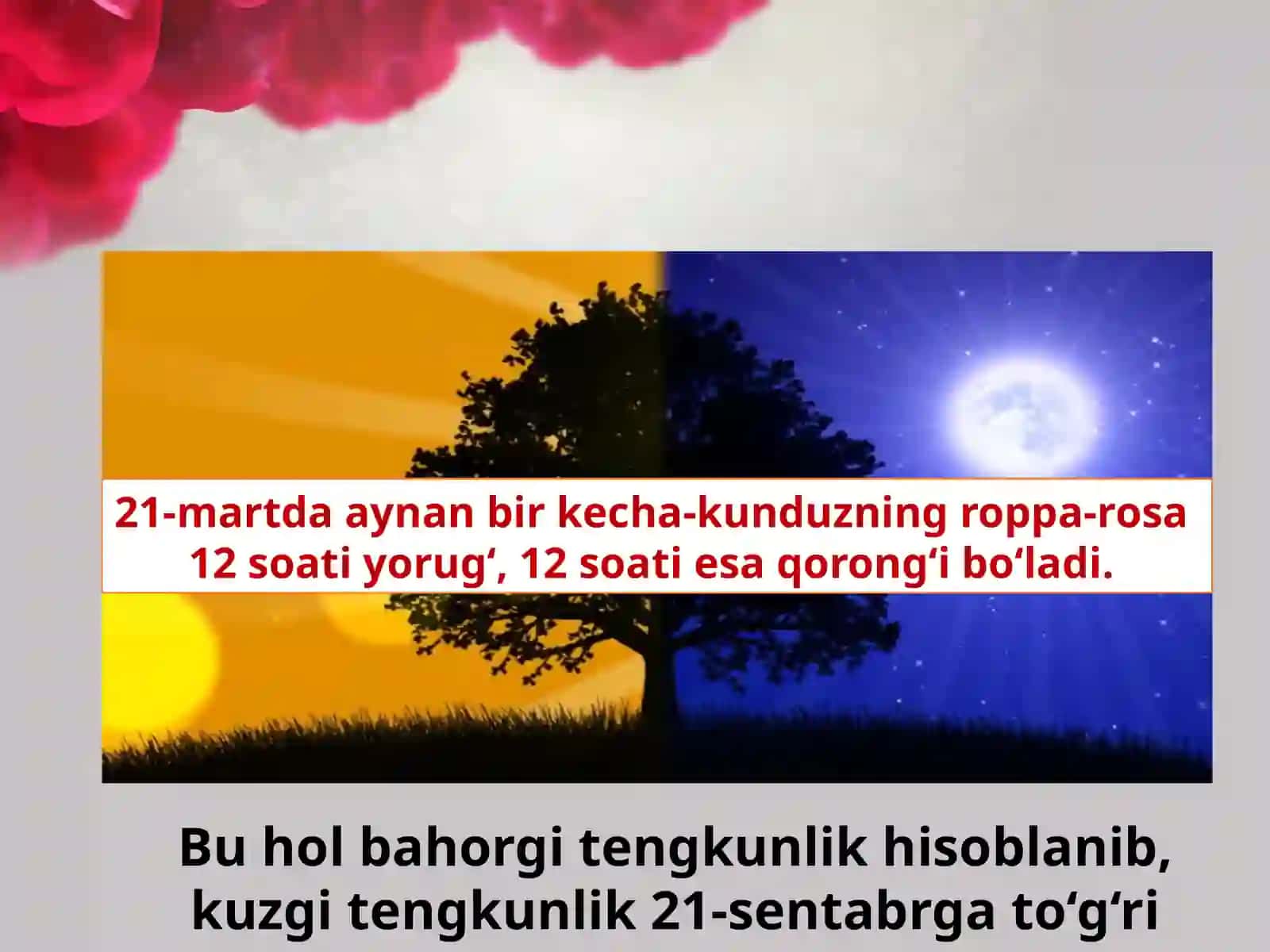 Navro‘z–engqadimiy,aslmilliybayram 3