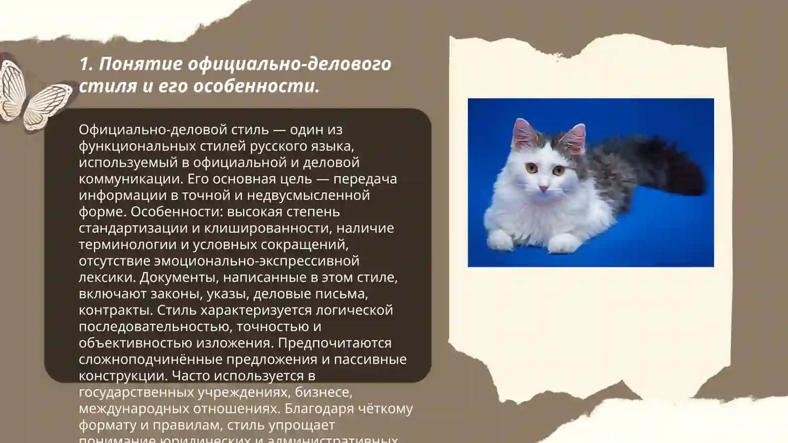 Понятие официально-делового стиля и его особенности 3