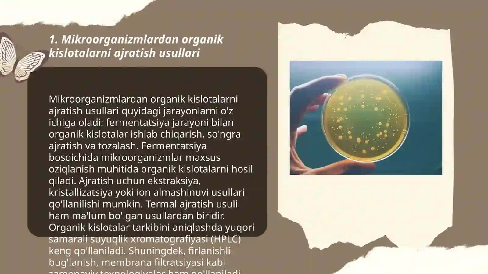 Mikroorganizmlardan organik kislota ajratib olish 3