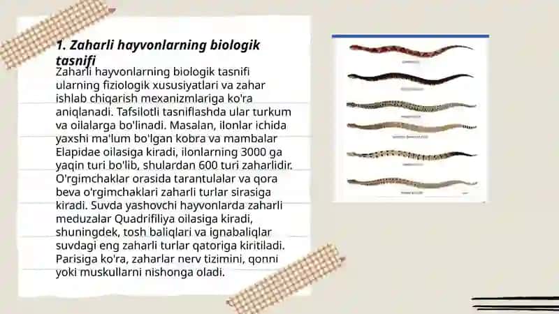 Zaharli hayvonlar sistematikasi 3