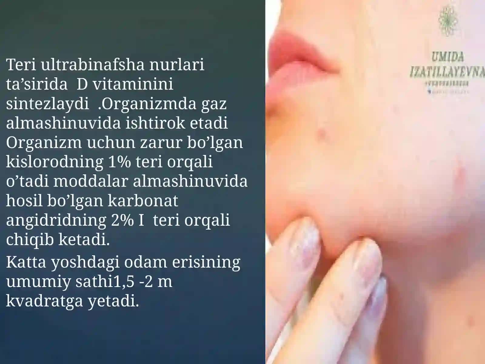Terining tuzilishi va funksiyasi 3