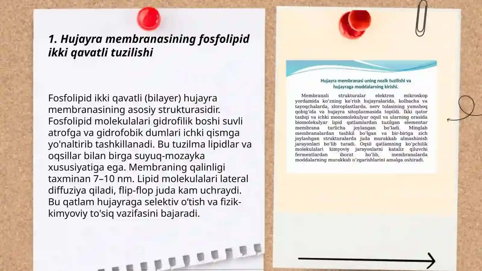 Hujayra membranasi, uning nozik tuzilishi va hujayraga moddalarning kirishi 3
