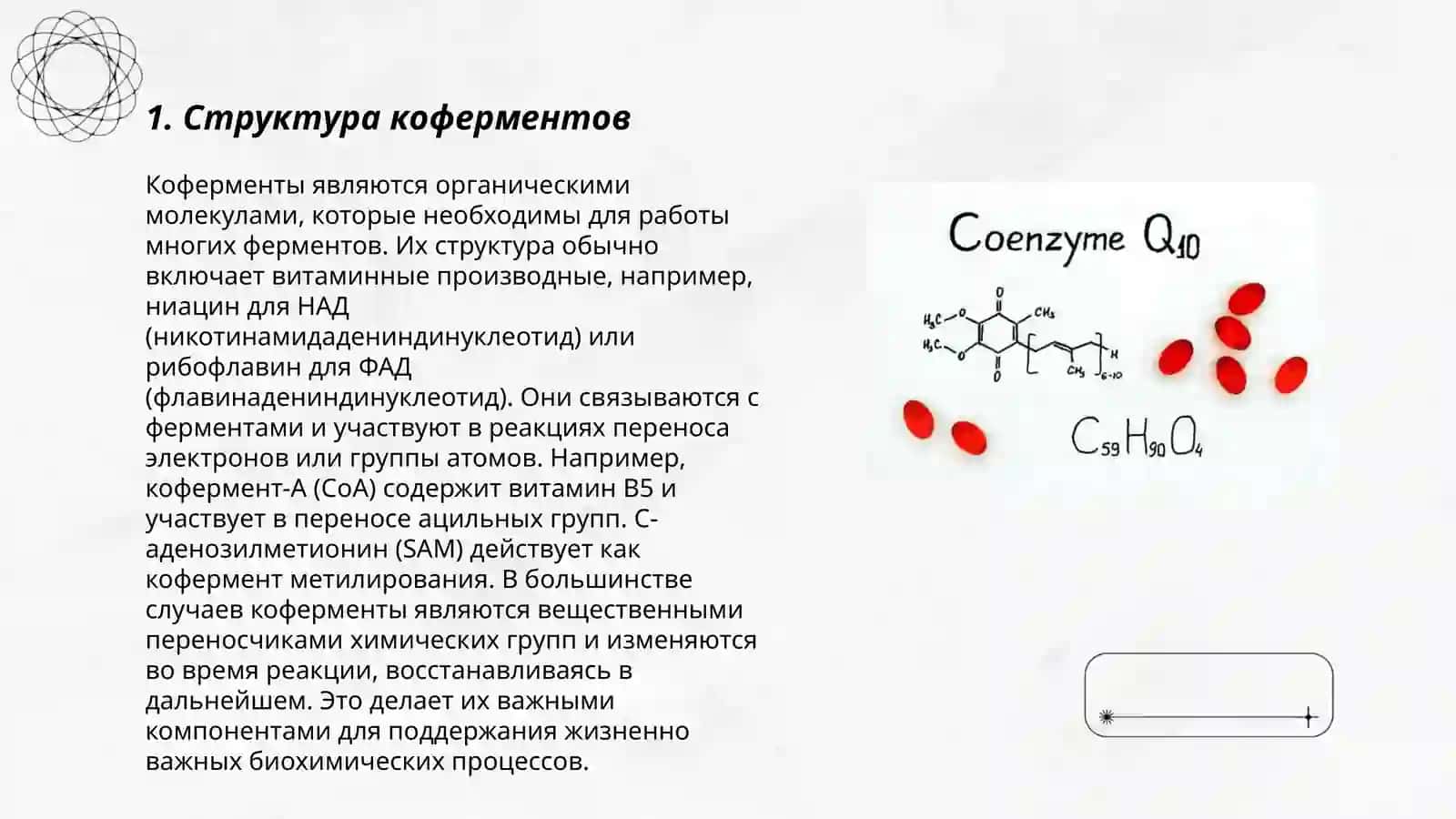 Биологияда кўферментларнинг биологик роли 3