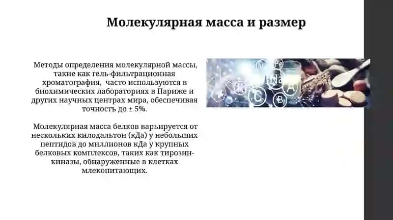 Физико-химические свойство белков 3