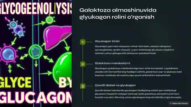 Fruktoza va galaktoza almashinuvi 3