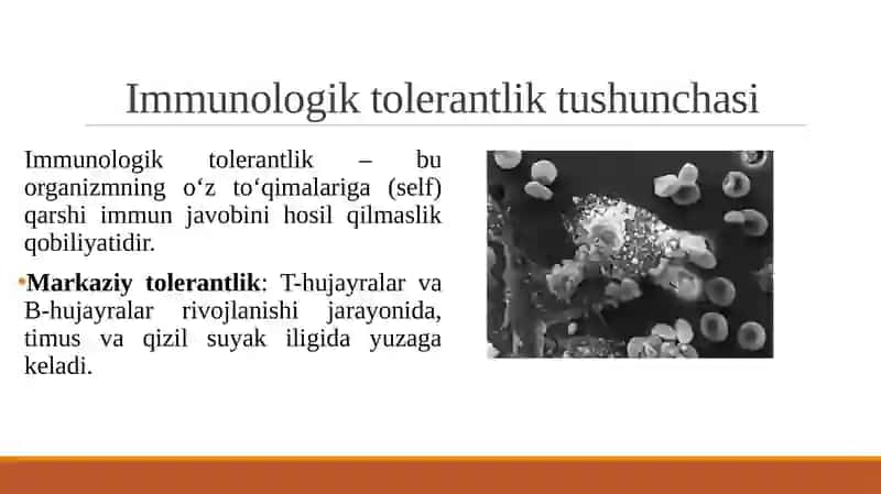 Immunologik tolerantlik nuqsonlari. Autoimmun xastaliklar 3