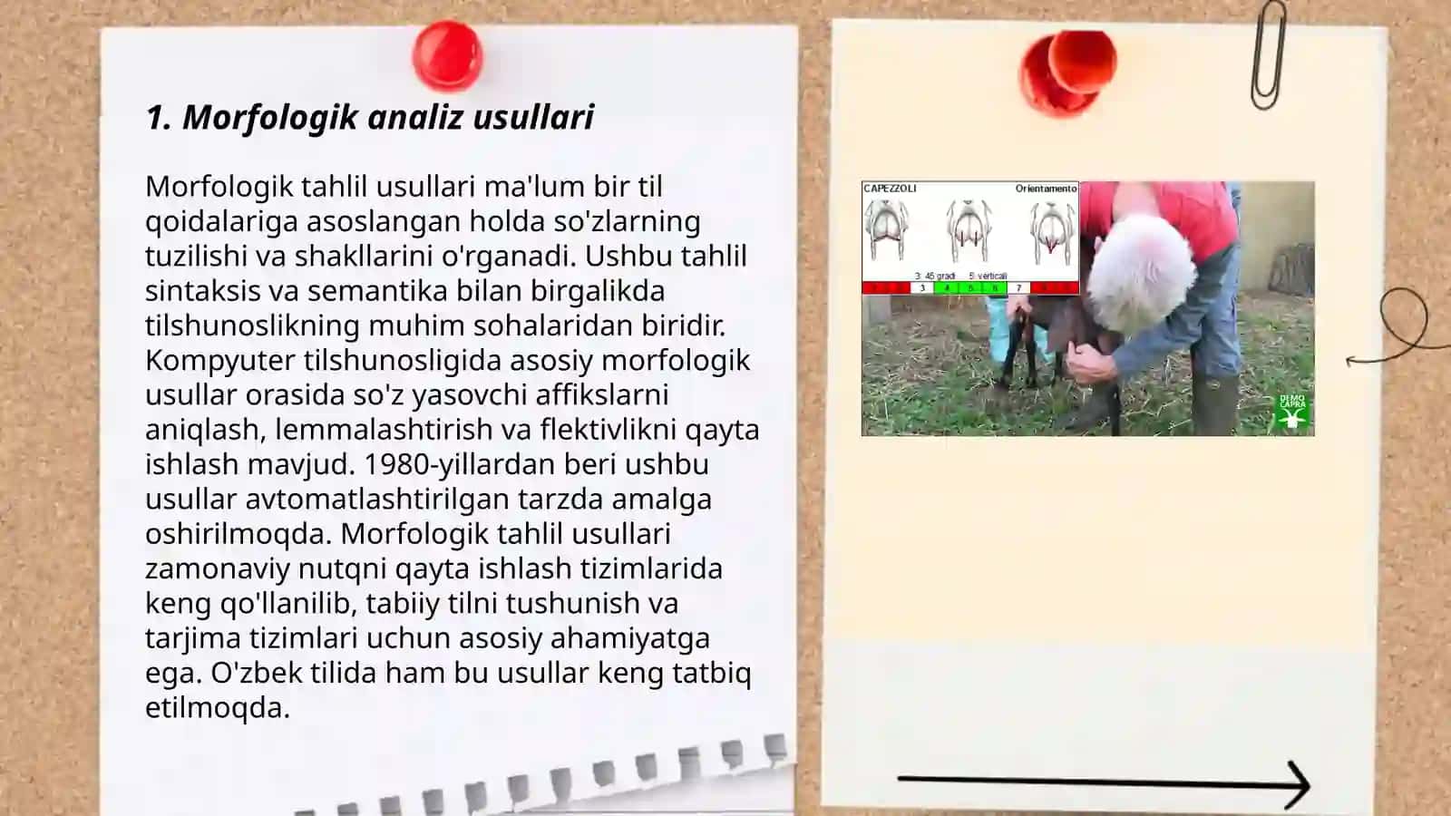 Morfologik malumotlar bazasni yaratish 3