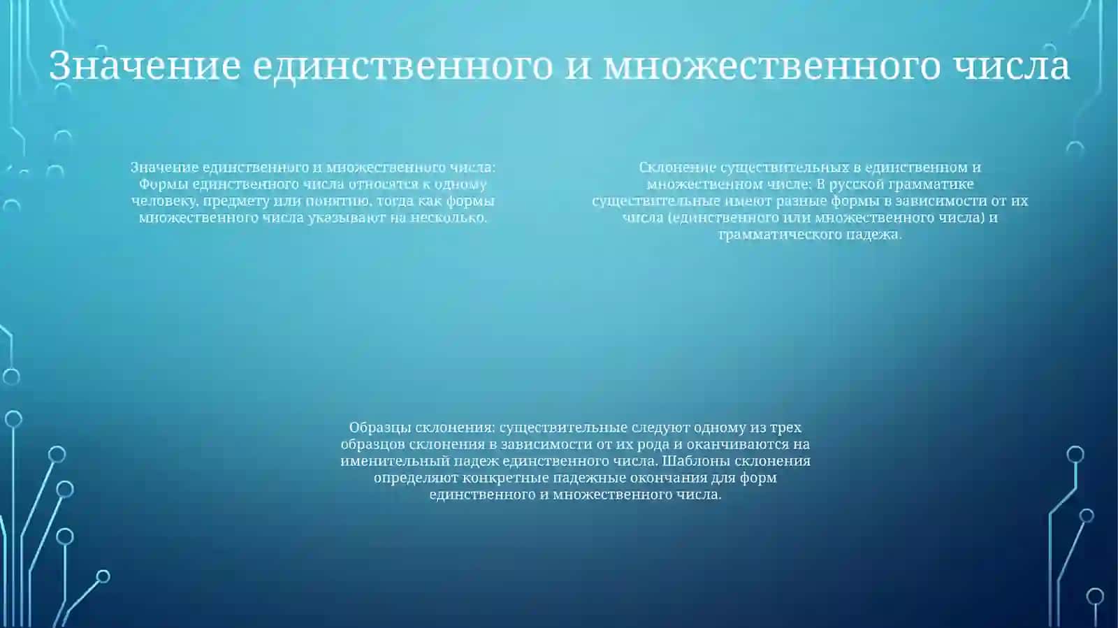Склонение имен существительных в единственном и множественном числе 3