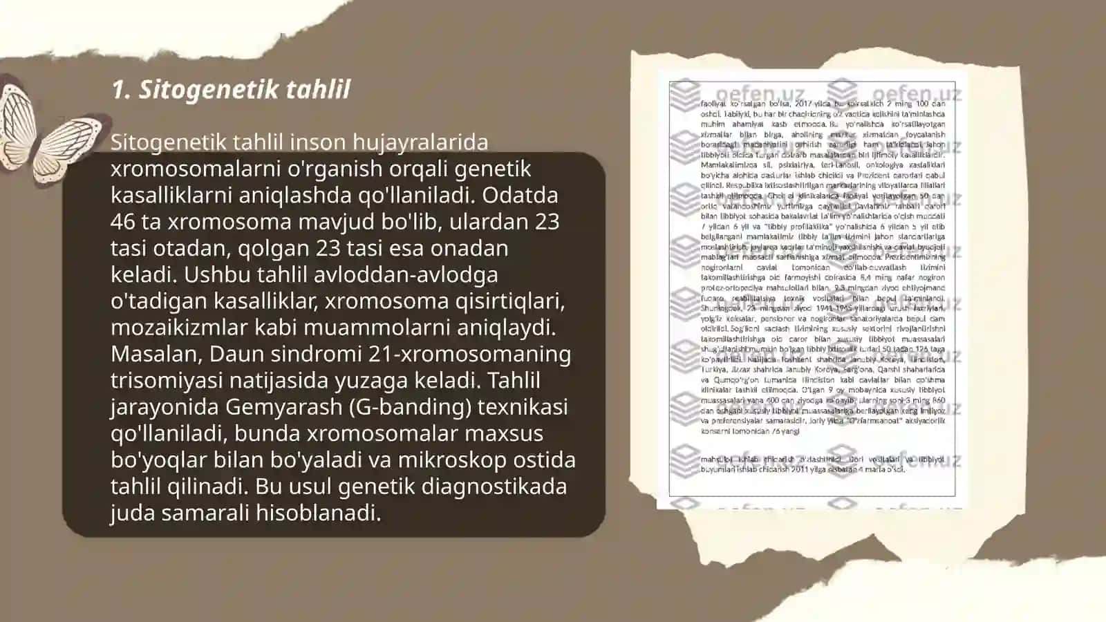 Sitogenetika 3