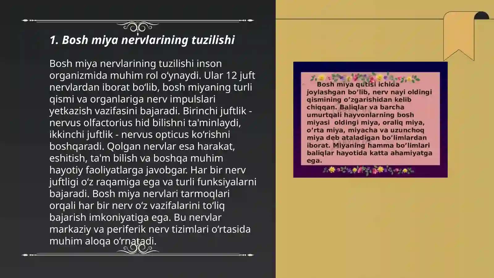 12 juft bosh miya nervlarining chiqish joylari 3