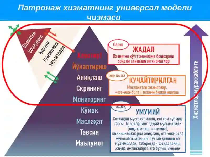 Патронаж ҳамширасини ишида хавфларни бошқариш. Кейс-менеджмент 3
