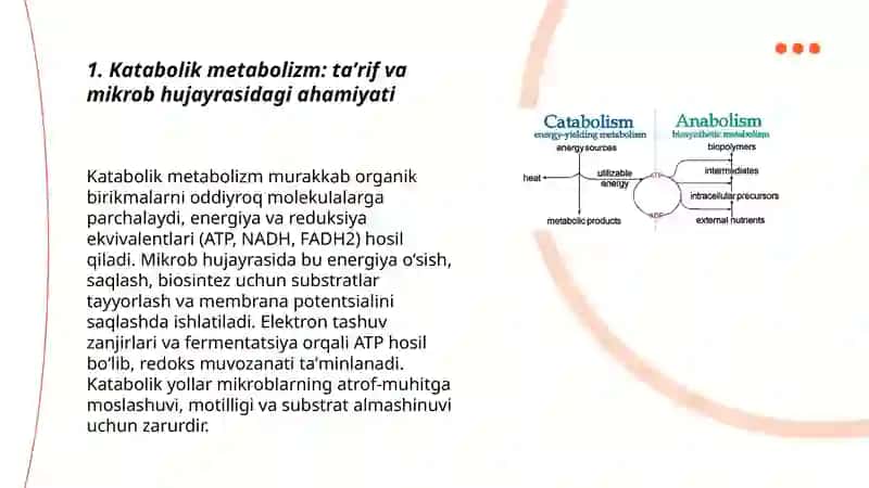 Katabolik metabolizm. Mikrob hujayrasi tomonidan energiya olish usullari turlari 3