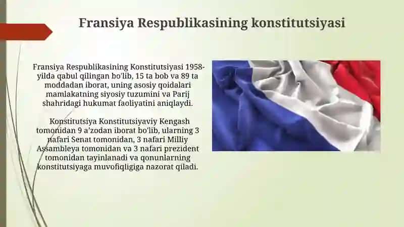 Fransiya Respublikasining Konstitutsiyasi 3