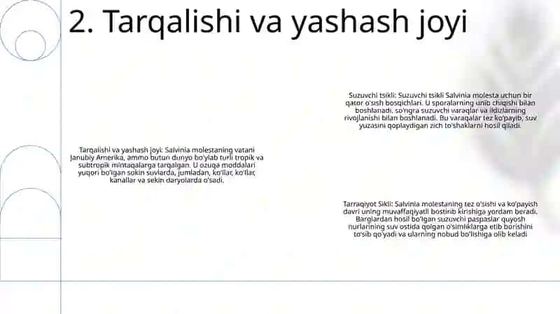 Suzuvchi Salviniyaning Taraqqiyot Sikli 3