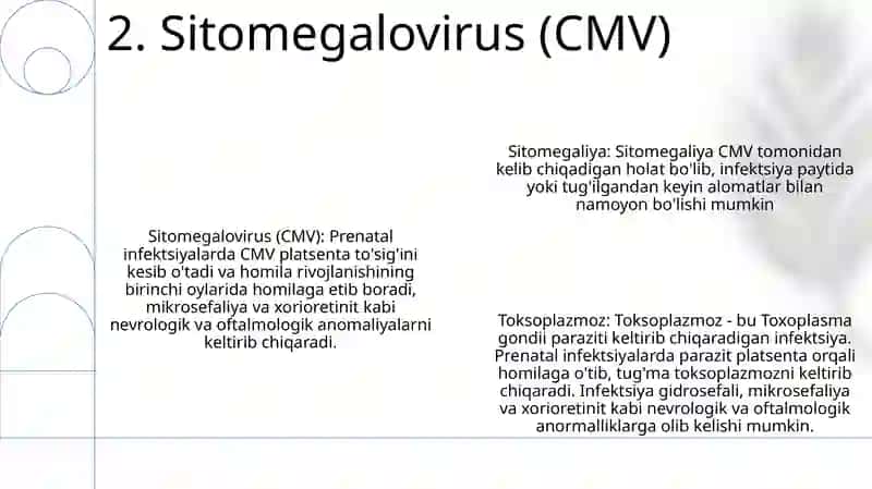 Prenatal Infeksiya 3